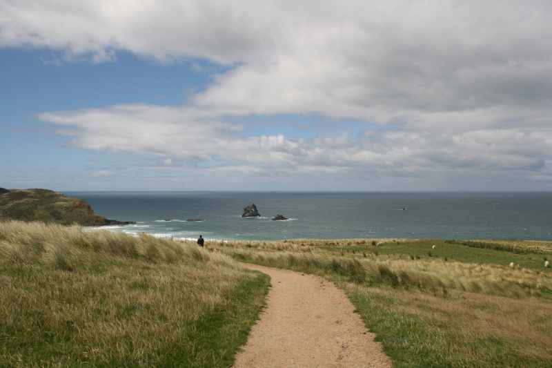 Nieuw-Zeeland 2011 - 1942